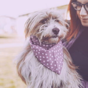 Pet Daycare Move from Queens to Brooklyn
