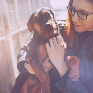 Pet Daycare Move from Queens to Brooklyn