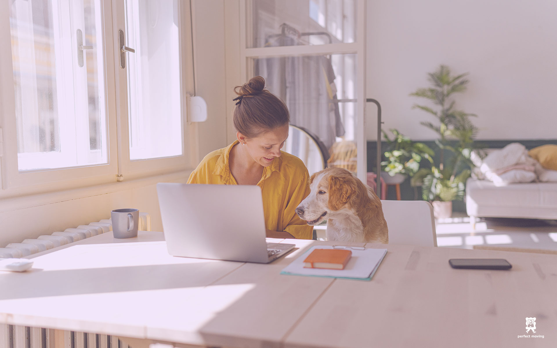 Home Office Move From Brooklyn To Manhattan