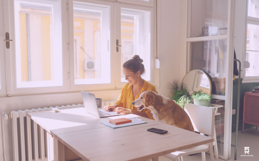 Home Office Move From Brooklyn To Manhattan